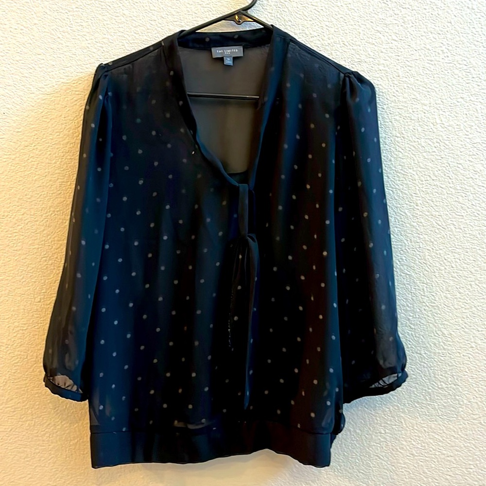 Polka dots black transparent blouse